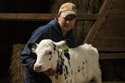 vet cow