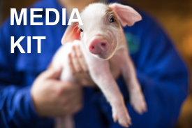 Vet and Piglet - Media Kit Button