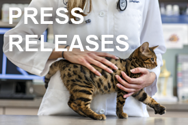 Vet with cat - Press Releases Button