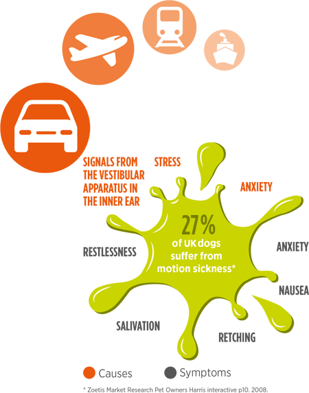 Sick splat - 27% of UK dogs suffer from motion sickness