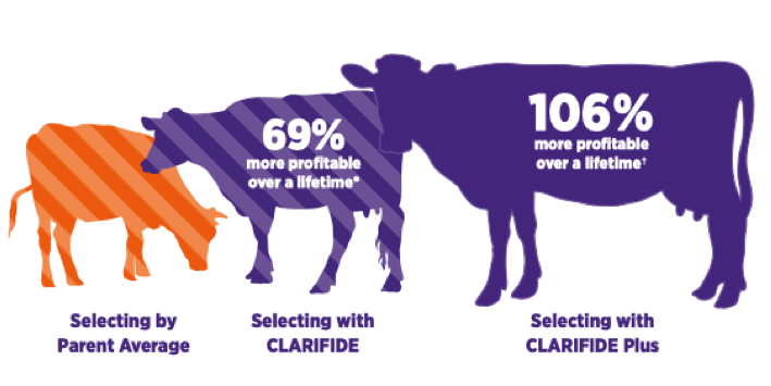 Selecting Clarifde