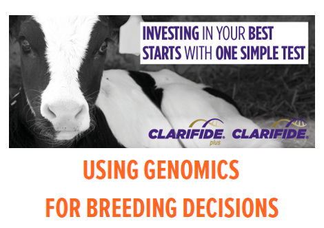 Using genomics for breeding decisions