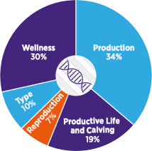 Wellness Profit