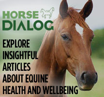 equine herpes virus zoetis uk equine herpes virus fact sheet