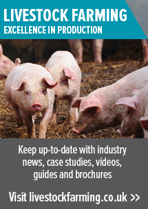 Livestock Farming Pig