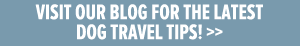 Visit our blog!