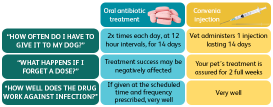 Convenia Dose Chart