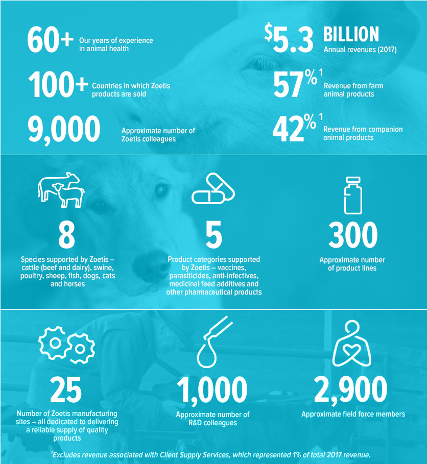 Zoetis at a glance Zoetis UK