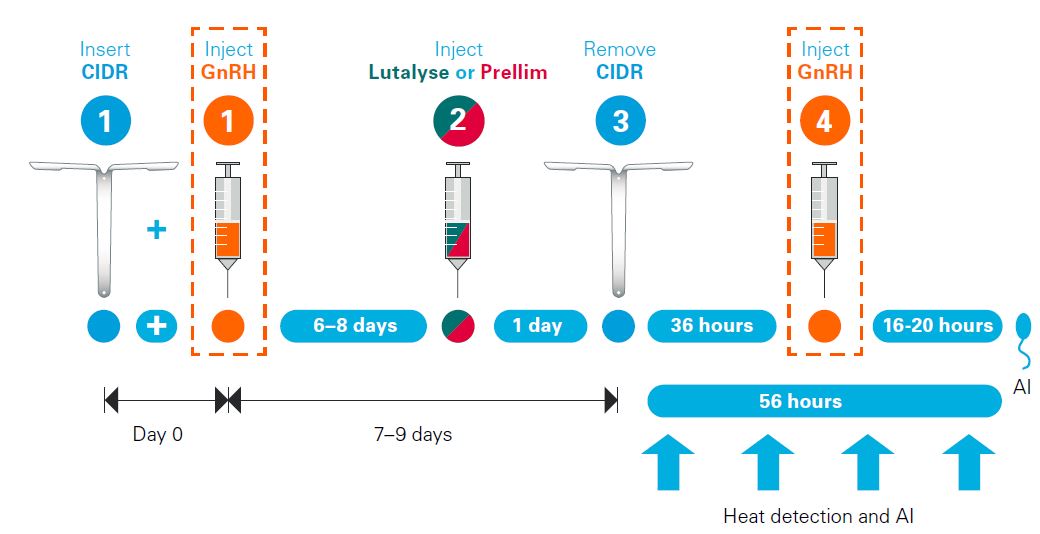 Dairy Farmers Zoetis UK