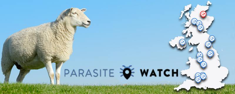 parasite watch