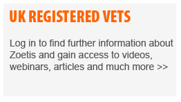uk registered vets