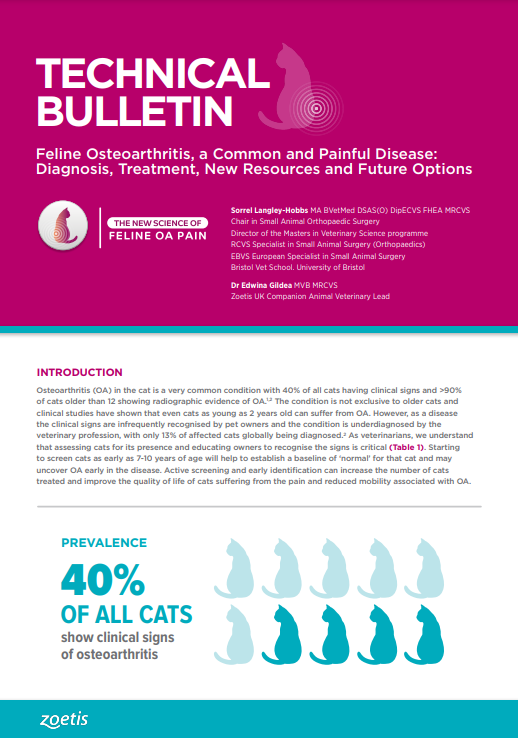 Feline OA Pain Zoetis UK