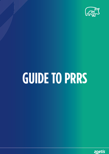 Guide to PRRS