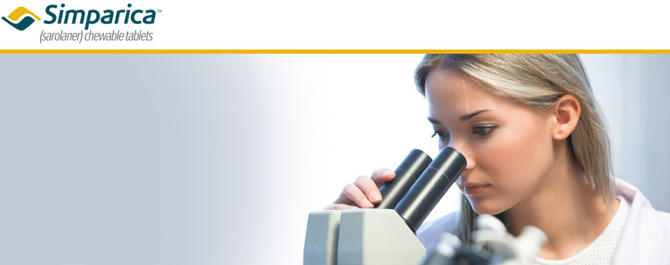 simparica sarcoptic mange