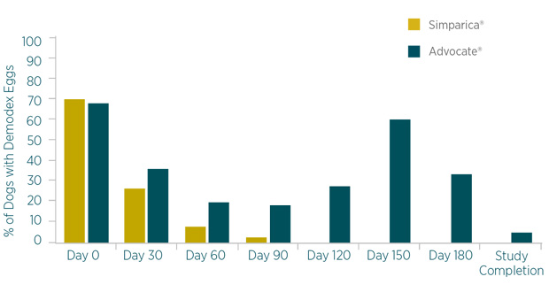 simparica sarcoptic mange