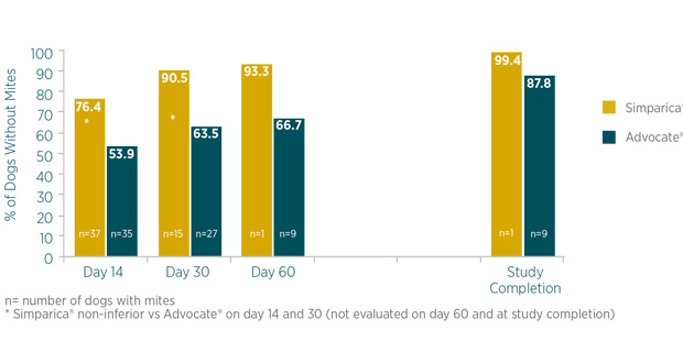simparica sarcoptic mange